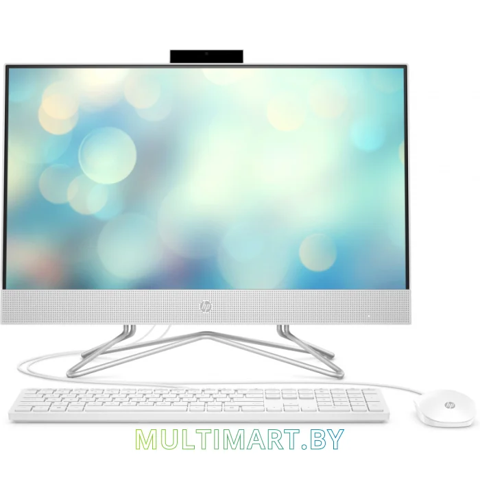 Моноблок HP 24-df1014ur (3B4L5EA)